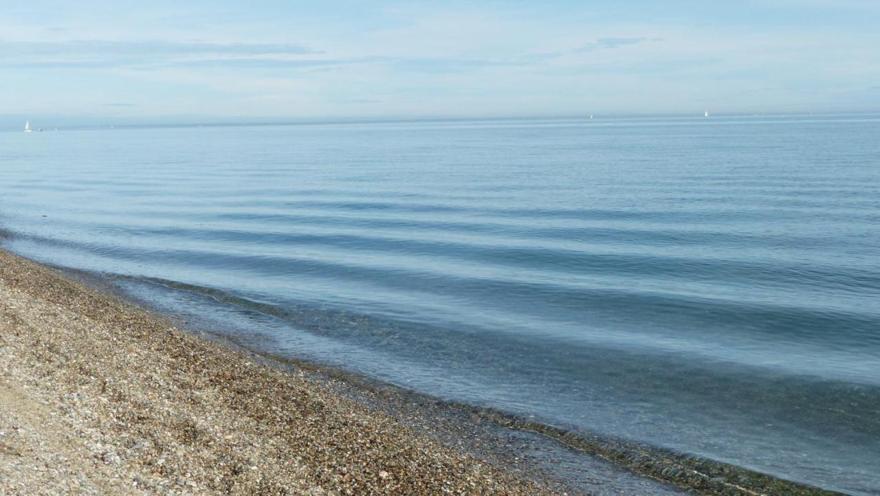 Belle Vue Sur Mer Au Calme Argelès-sur-Mer Dış mekan fotoğraf