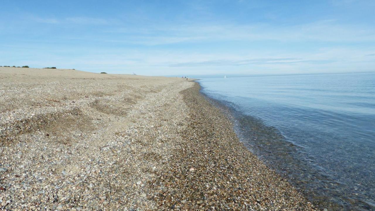 Belle Vue Sur Mer Au Calme Argelès-sur-Mer Dış mekan fotoğraf