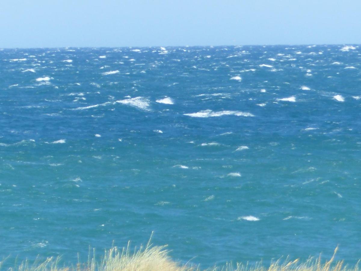 Belle Vue Sur Mer Au Calme Argelès-sur-Mer Dış mekan fotoğraf